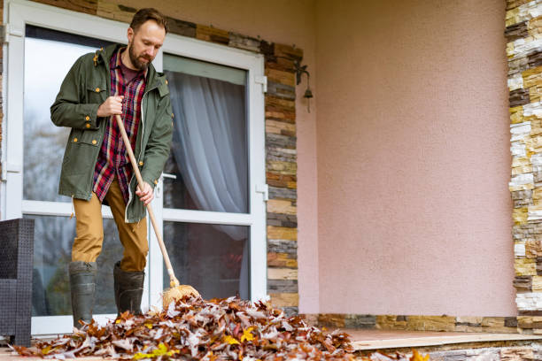 Best Junk Removal and Recycling  in Mountain View, HI